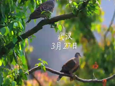 2020年3月30日《你的热干面，好了！》